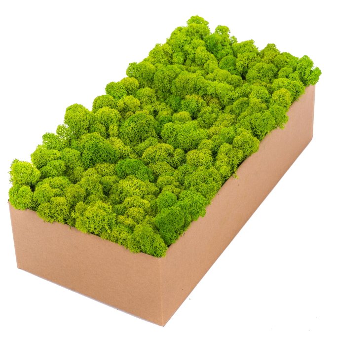 Diy Dried Flower Turelinng Preserved Green Moss Wall Art Reindeer Craft Moss Box For Flowerbeds Crafts Home Office Decoration