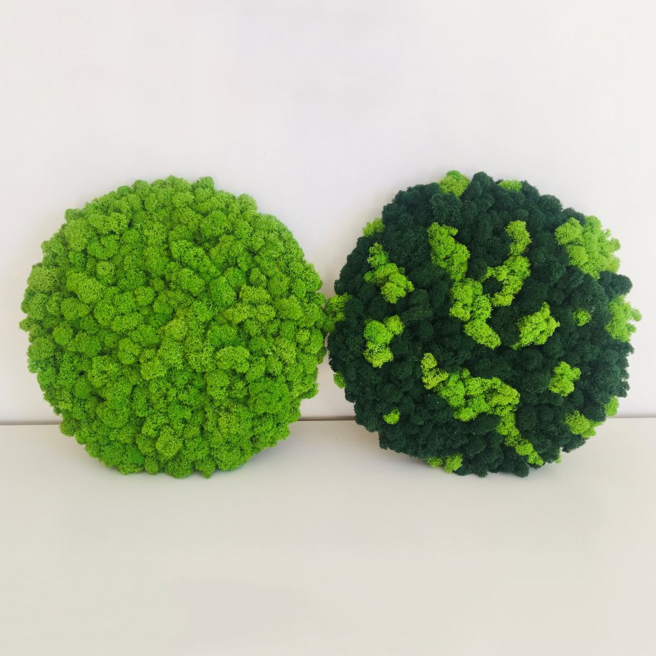 Diy Dried Flower Turelinng Preserved Green Moss Wall Art Reindeer Craft Moss Box For Flowerbeds Crafts Home Office Decoration
