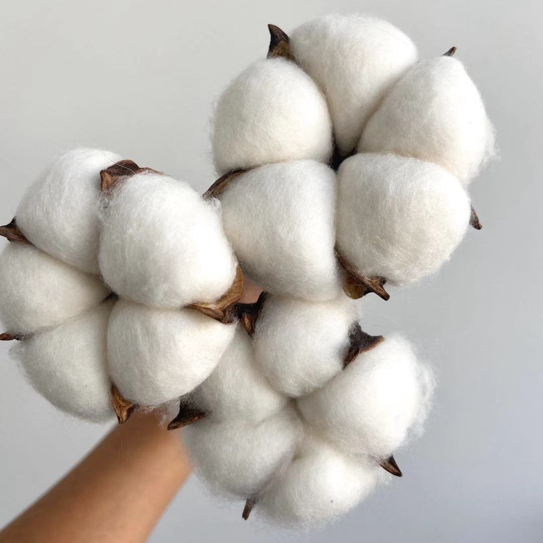 Factory Bulk Sale Christmas Decoration Flower Dried Cotton Flower for Flower Arrangement