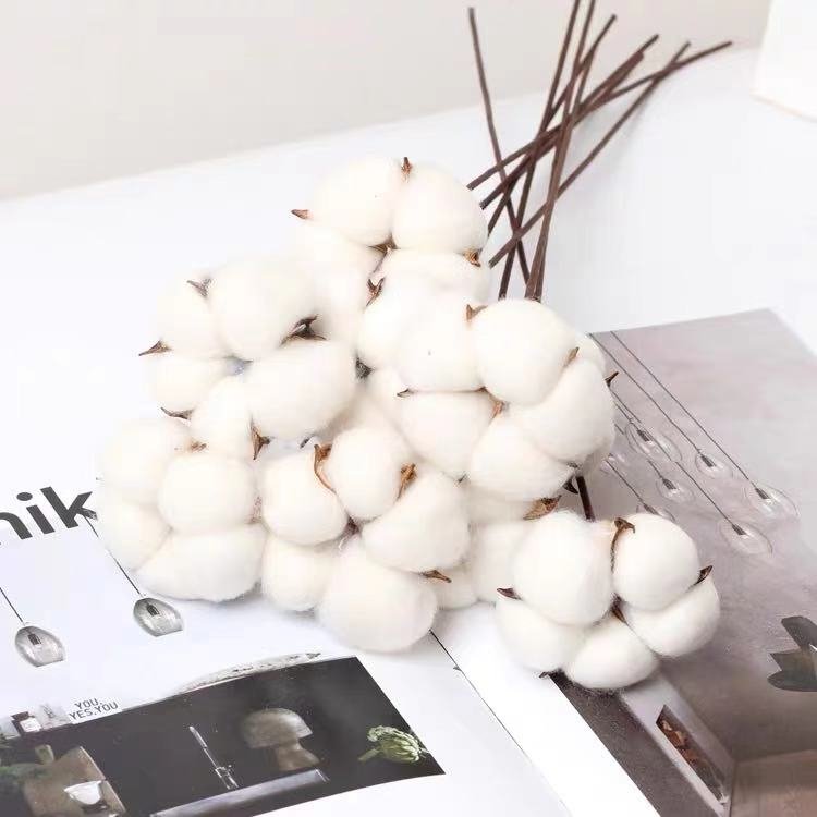 Factory Bulk Sale Christmas Decoration Flower Dried Cotton Flower for Flower Arrangement