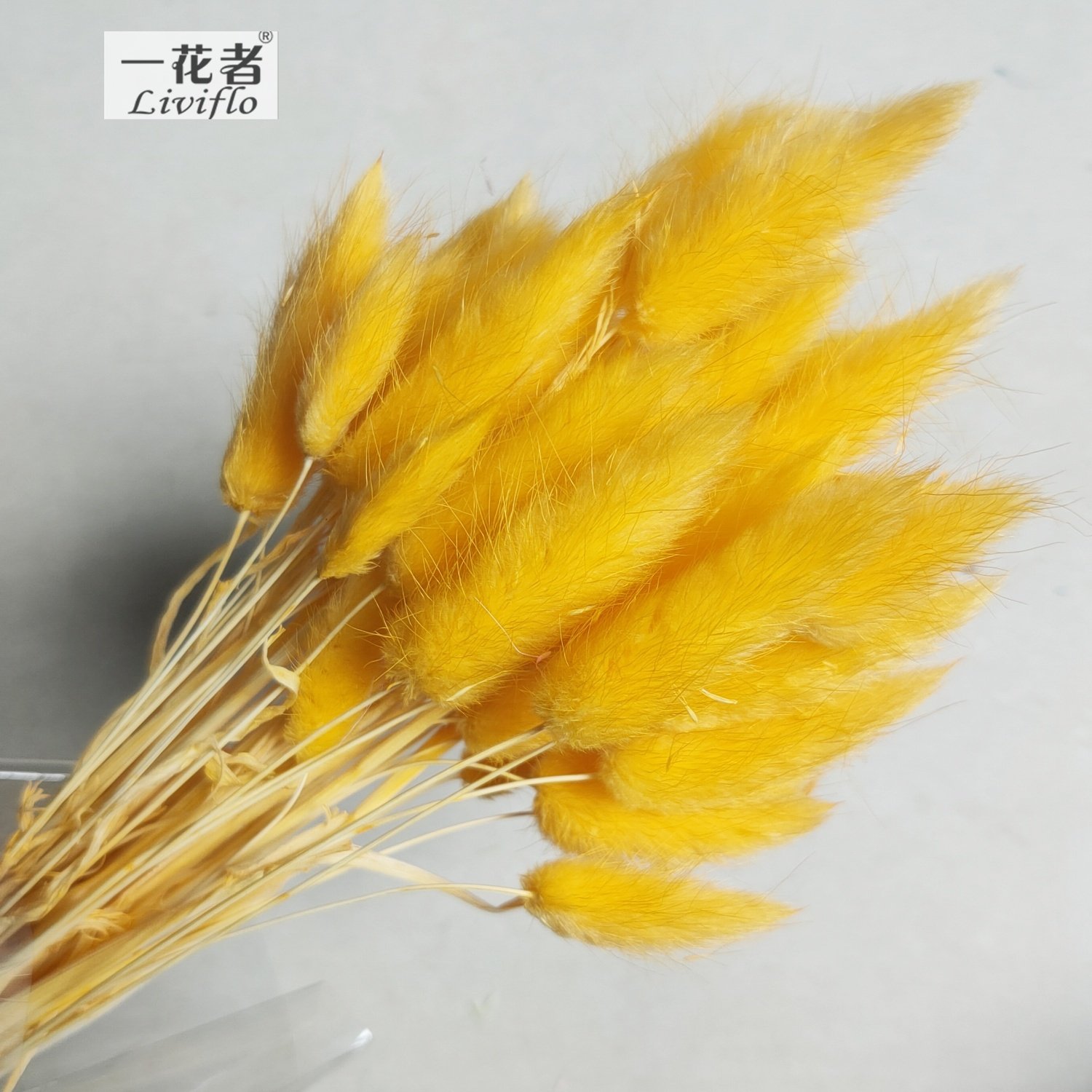 Material Dried Flowers Rabbit Tail Grass Bouquets Bunny Tails For Flower Decoration