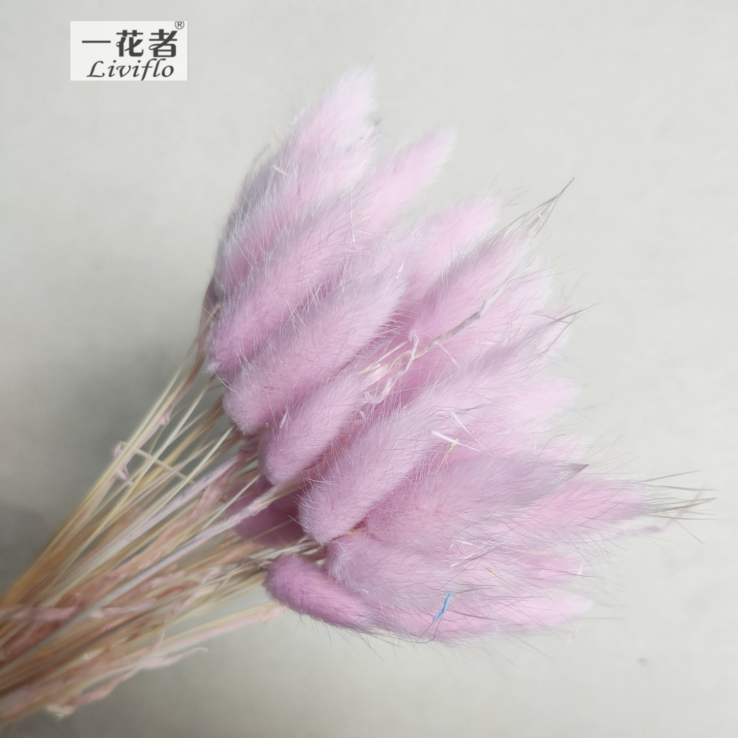 Material Dried Flowers Rabbit Tail Grass Bouquets Bunny Tails For Flower Decoration