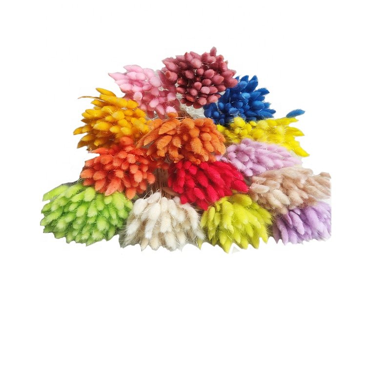 Material Dried Flowers Rabbit Tail Grass Bouquets Bunny Tails For Flower Decoration