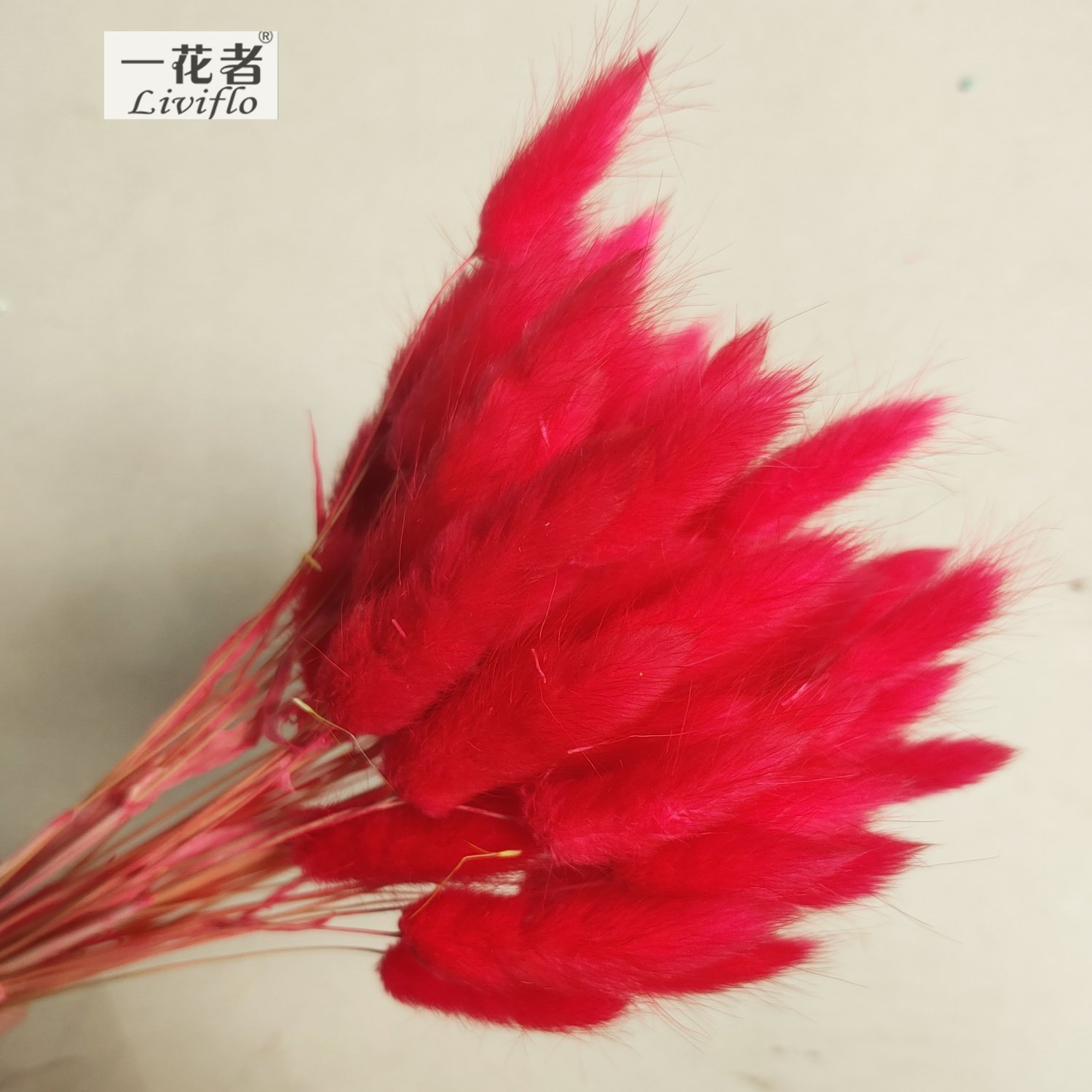 Material Dried Flowers Rabbit Tail Grass Bouquets Bunny Tails For Flower Decoration