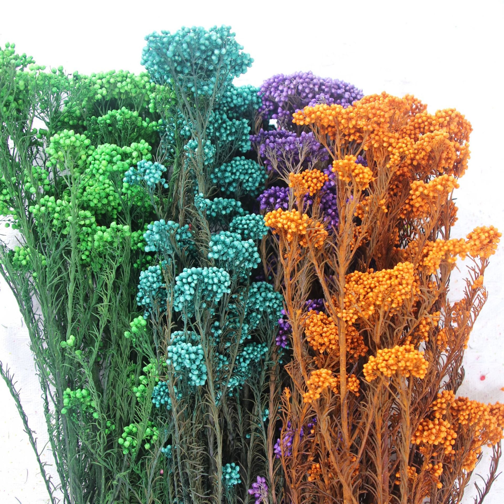 Hot Sale Millet Dried flower and Plant Arrangement Bouquet for Wedding/home Decoration Preserved Flowers