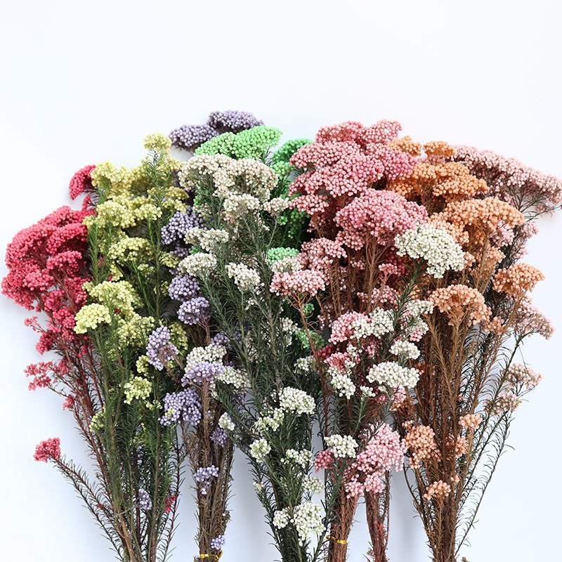 Hot Sale Millet Dried flower and Plant Arrangement Bouquet for Wedding/home Decoration Preserved Flowers