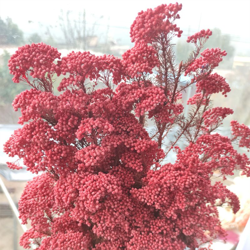Hot Sale Millet Dried flower and Plant Arrangement Bouquet for Wedding/home Decoration Preserved Flowers