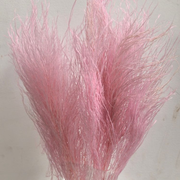 Preserved flowers Stone Grass Dried Tiki Fern For Christmas Materials Floral Arrangement Home Boho Decor Plant Vase Filler