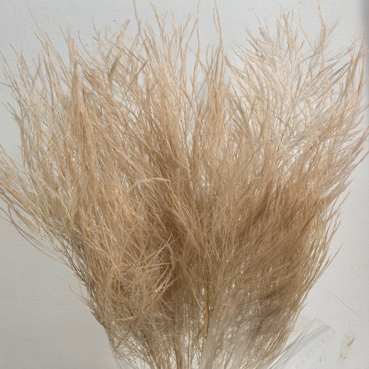 Preserved flowers Stone Grass Dried Tiki Fern For Christmas Materials Floral Arrangement Home Boho Decor Plant Vase Filler