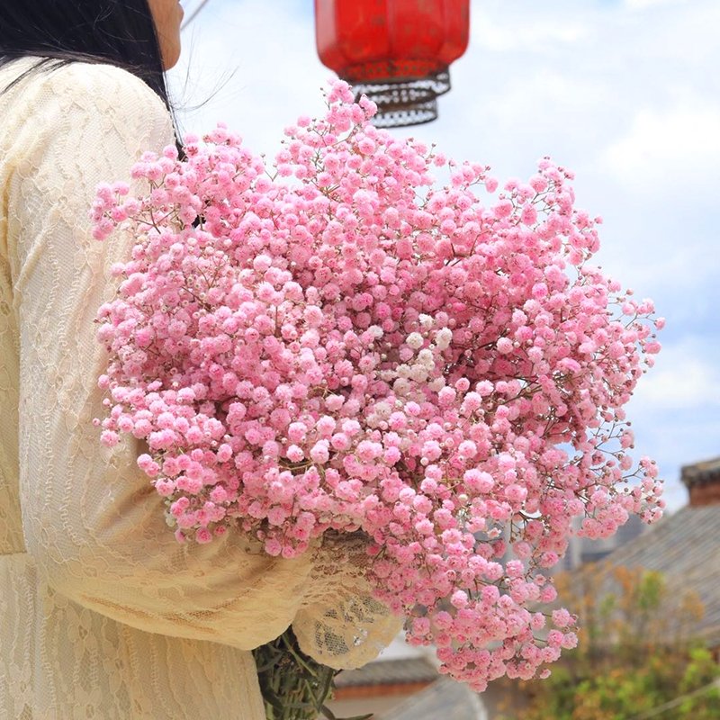 AX32 cheap wholesale dry candles natural dried flowers for resin baby breath Home/Festival /Party Decoration