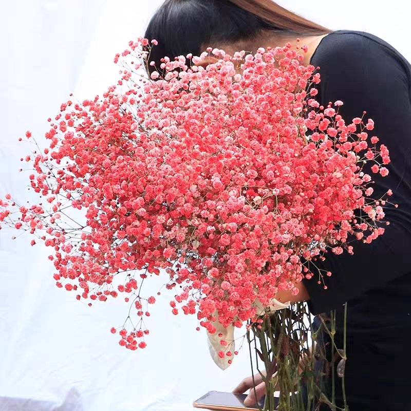 AX32 cheap wholesale dry candles natural dried flowers for resin baby breath Home/Festival /Party Decoration