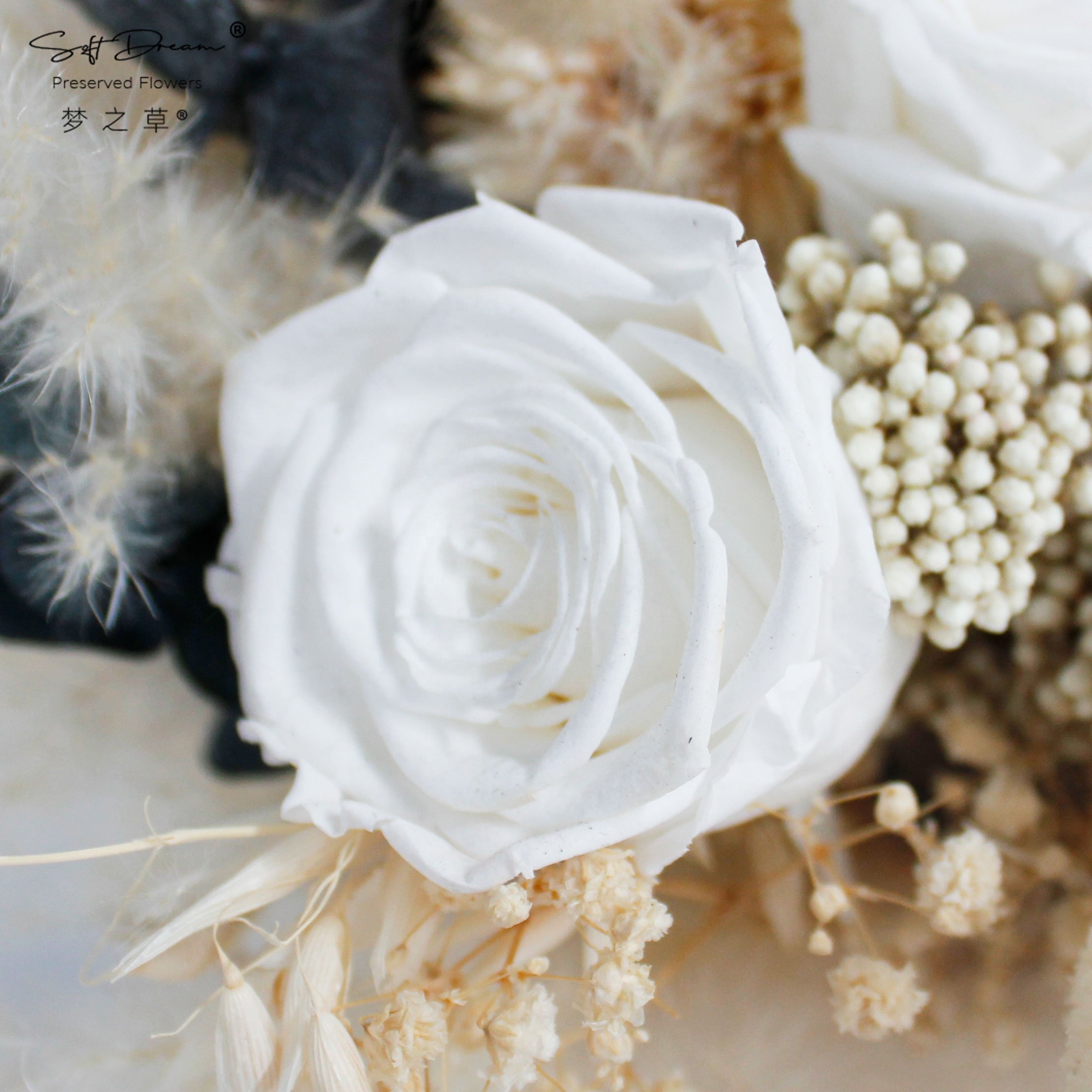2024 Softdream Wholesale Dried Flowers Pampas grass Preserved Rose Boho Wedding Bouquet Bridal Wedding Bouquet