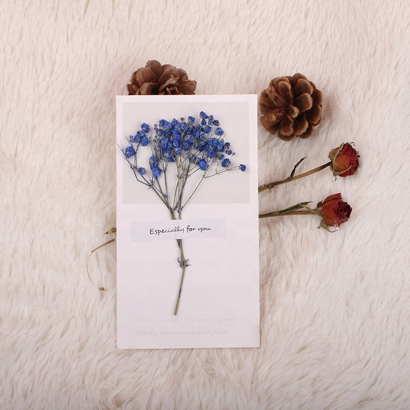 Romantic All Occasion Birthday Wedding Valentine Mother's Day Dried Flower Greeting Card