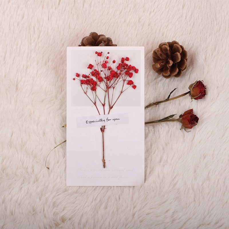 Romantic All Occasion Birthday Wedding Valentine Mother's Day Dried Flower Greeting Card