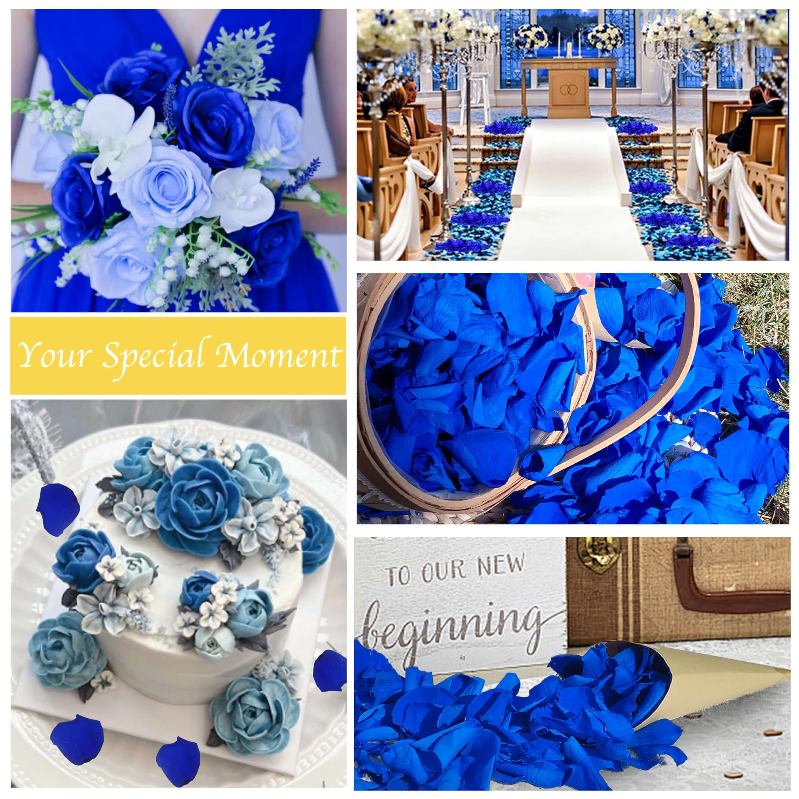 100% Real Blue Rose Petals Preserved Red Petals Proposal Decoration Wedding Confetti Flower Girl Party Valentine's Day Gift