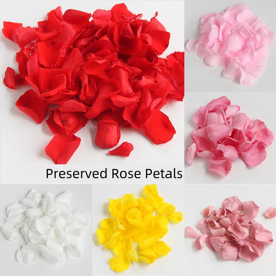 100% Real Blue Rose Petals Preserved Red Petals Proposal Decoration Wedding Confetti Flower Girl Party Valentine's Day Gift