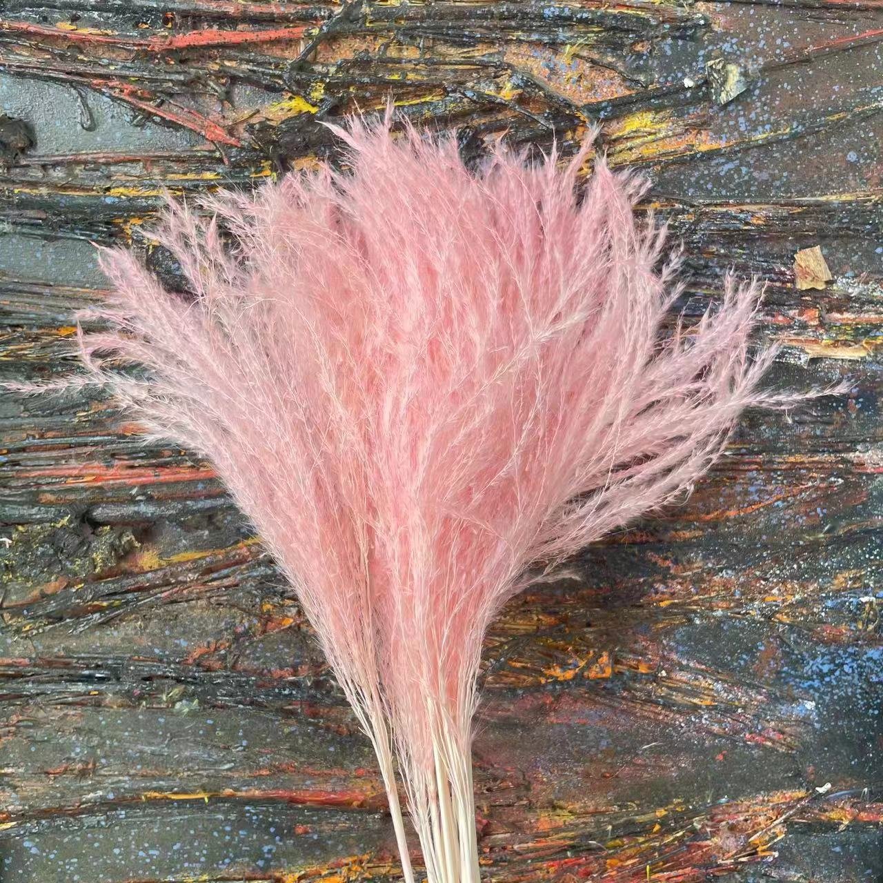Amazon Best Selling Dried Pampas Flower Boho Dry Reed Flowers Fluffy Phragmites For Wedding Decor