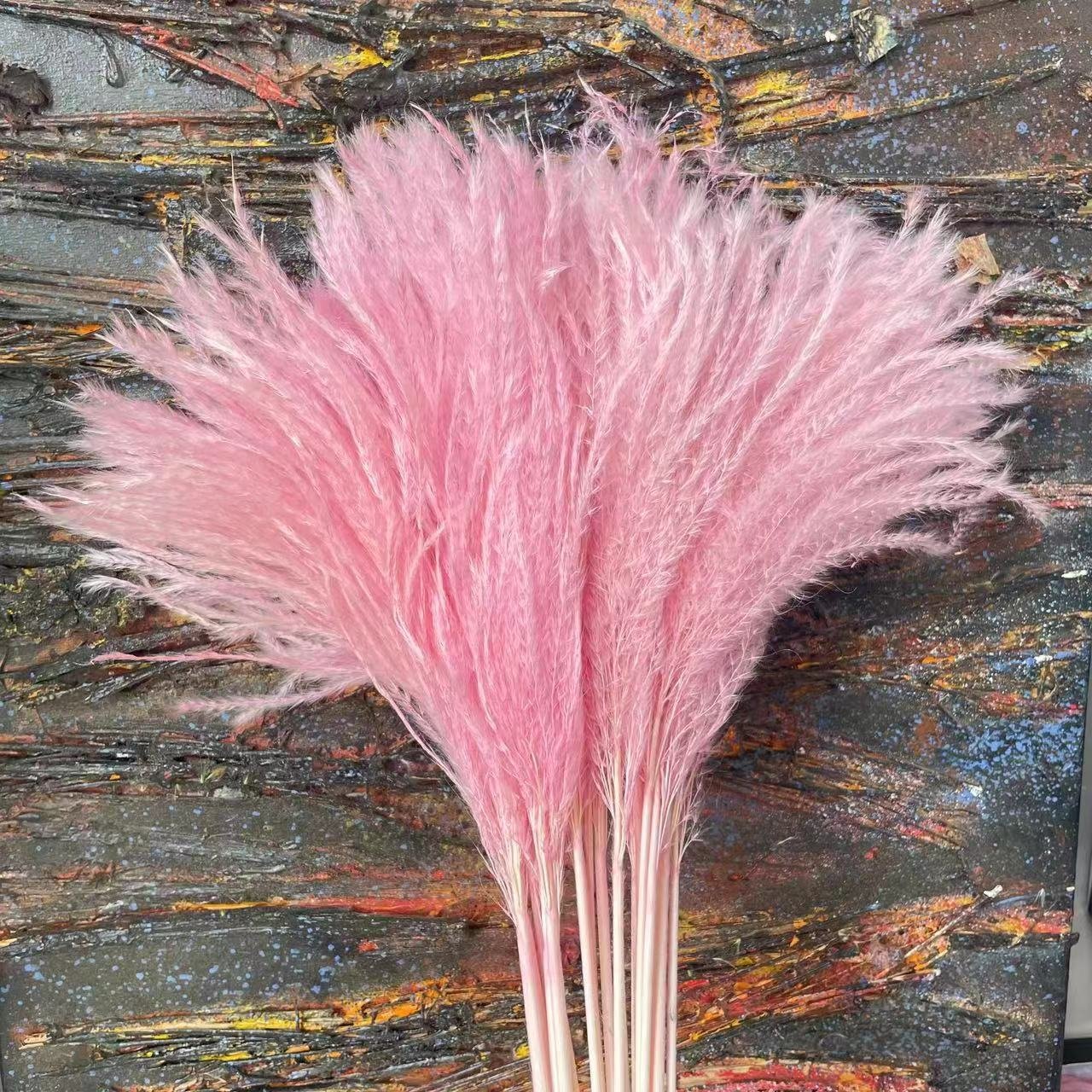 Amazon Best Selling Dried Pampas Flower Boho Dry Reed Flowers Fluffy Phragmites For Wedding Decor