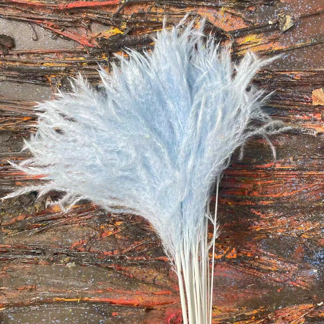 Amazon Best Selling Dried Pampas Flower Boho Dry Reed Flowers Fluffy Phragmites For Wedding Decor