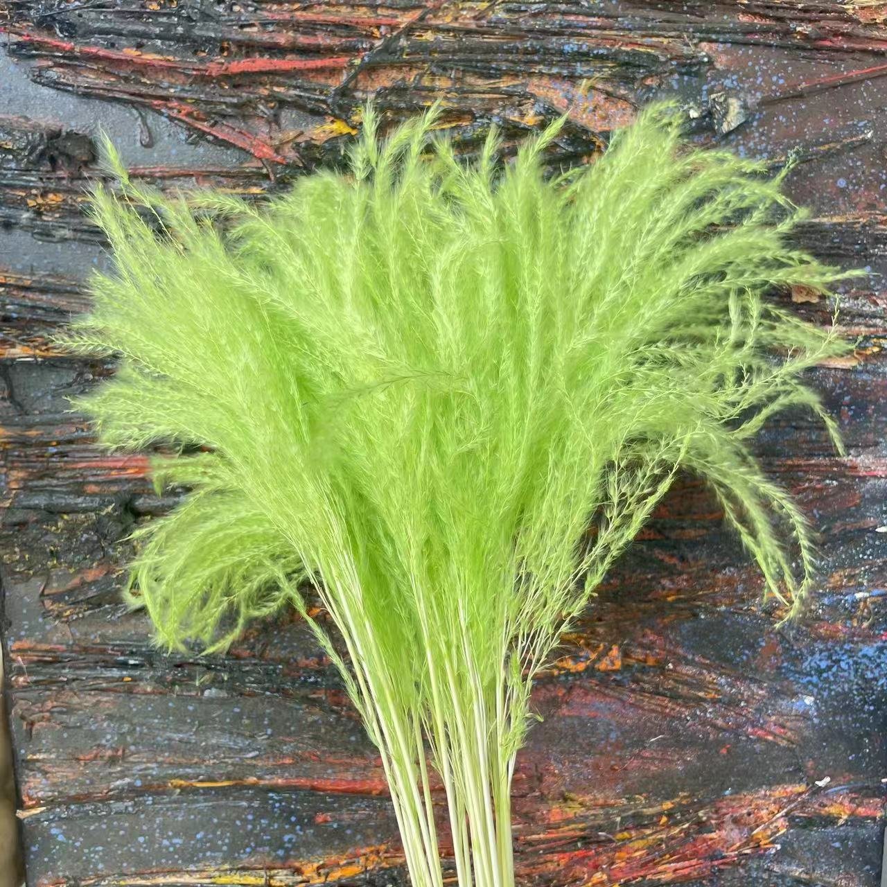 Amazon Best Selling Dried Pampas Flower Boho Dry Reed Flowers Fluffy Phragmites For Wedding Decor