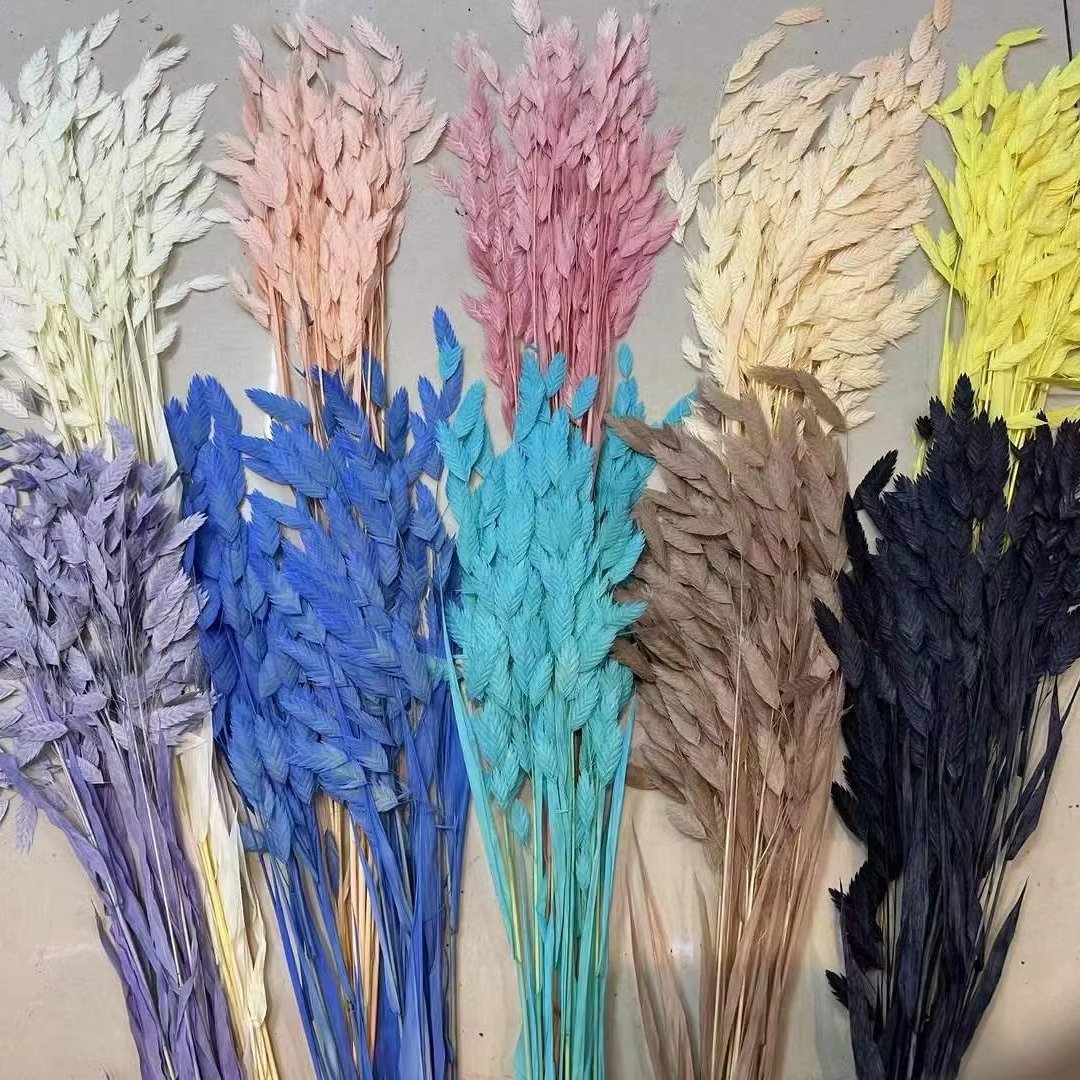 Natural Decorative Dried Flowers Bouquets Grass Floral Northern Sea Oats Preserved Chasmanthium Latifolium