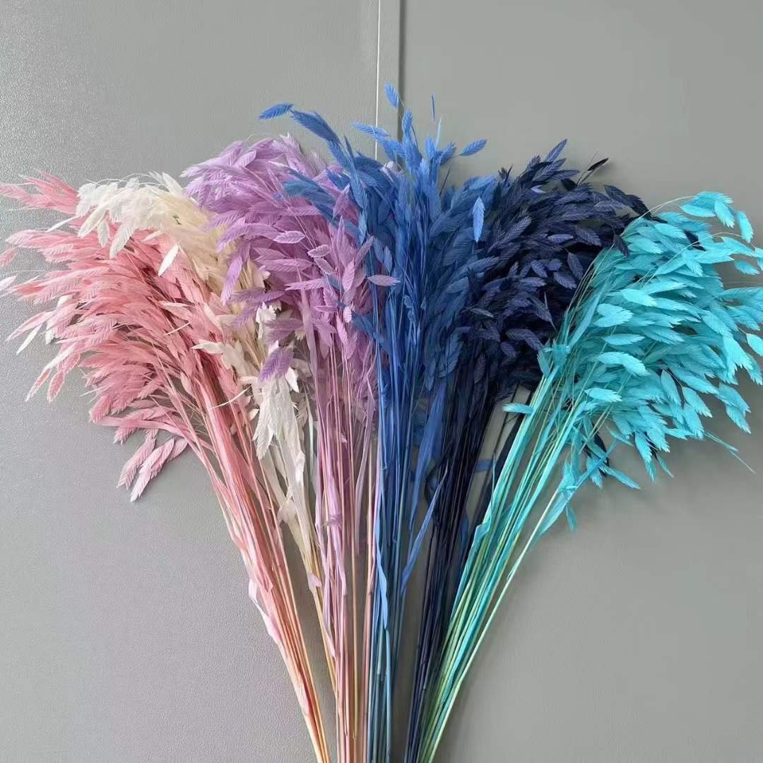 Natural Decorative Dried Flowers Bouquets Grass Floral Northern Sea Oats Preserved Chasmanthium Latifolium