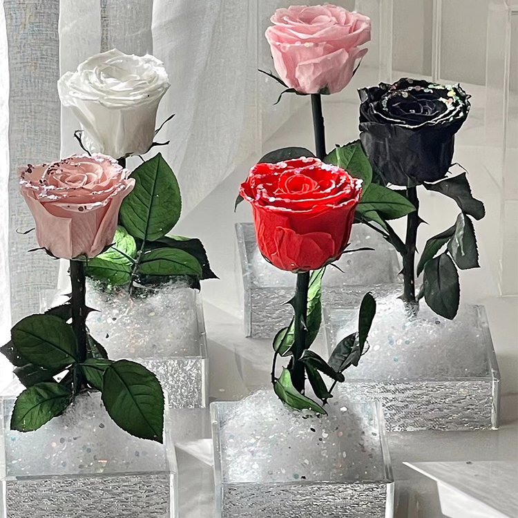 Gift Creative Single Bundle Snowflake Rose Gift Box Natural Dried Flowers Wholesale