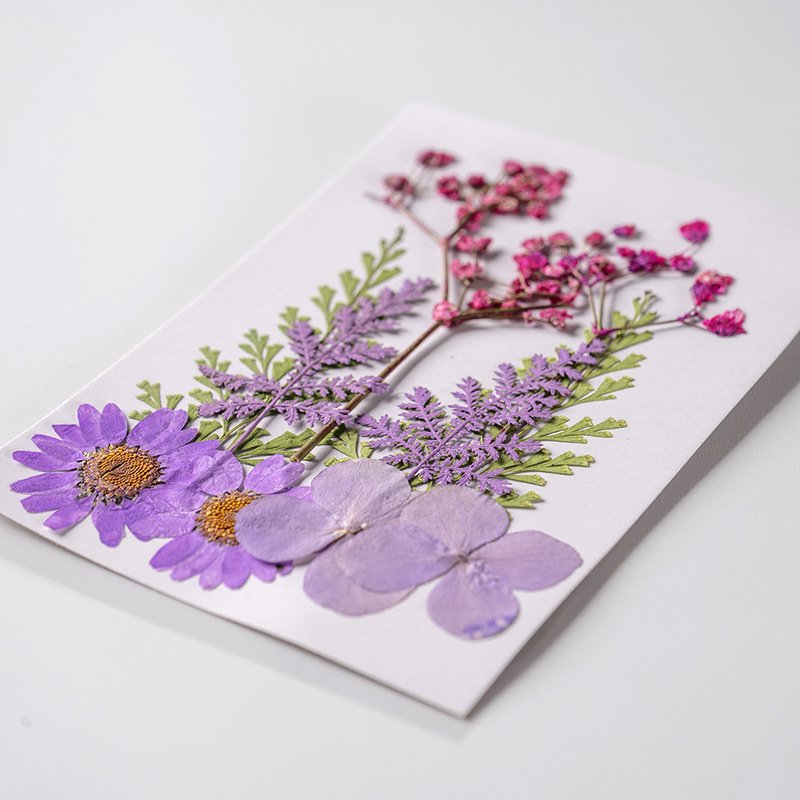 High Quality Real Dried Flowers Real Dried Pressed Flowers Colorful Resin Real Dried Flowers