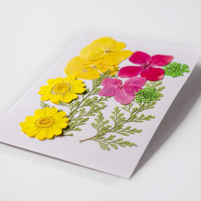 High Quality Real Dried Flowers Real Dried Pressed Flowers Colorful Resin Real Dried Flowers