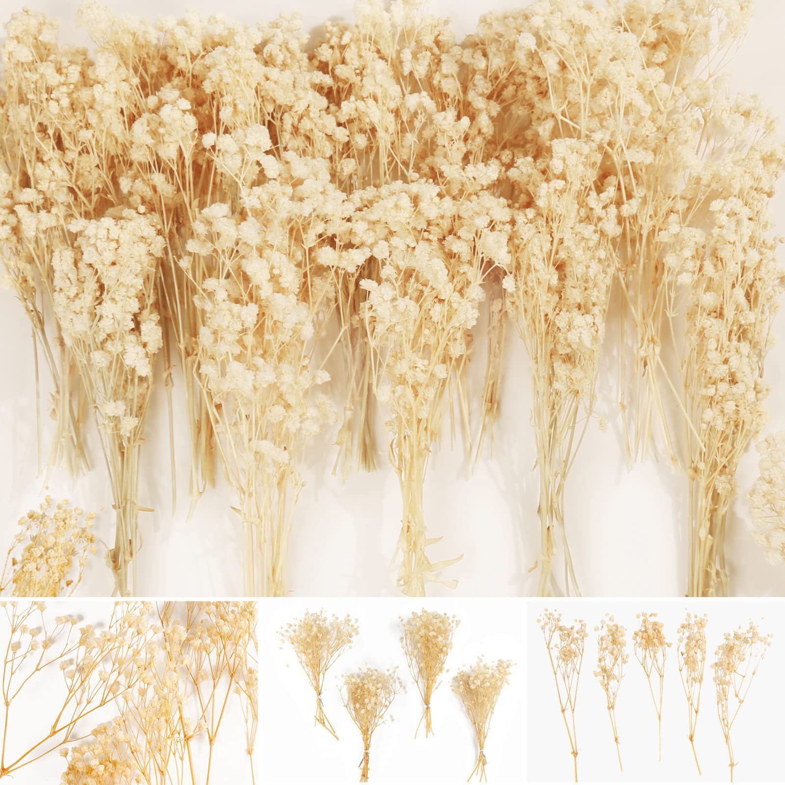 Gypsophila Immortal Flower Eucalyptus Dried Real Flower for Home Living Room Bouquet Decoration for Valentine's Day Gift