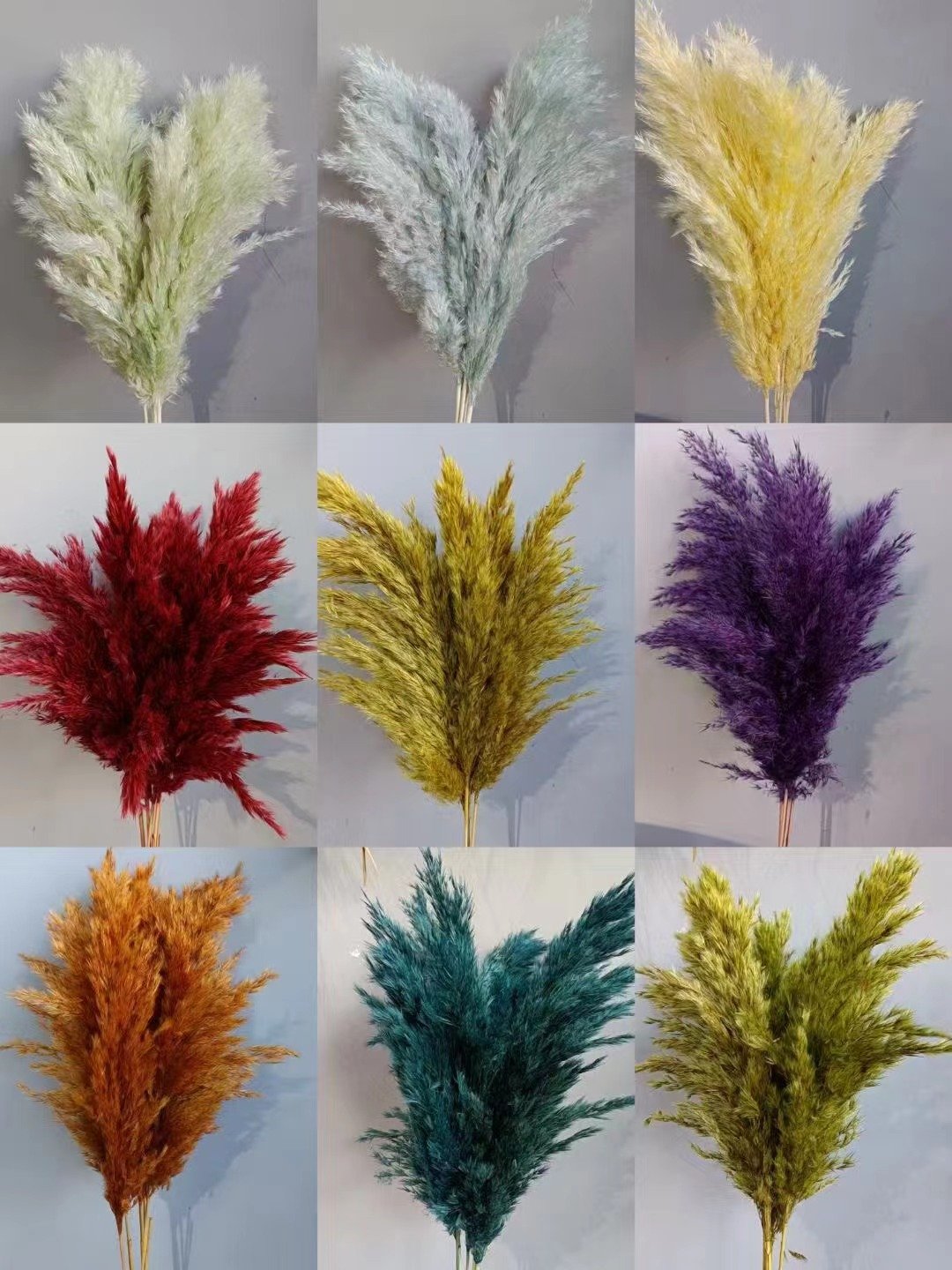 AX-9 Wholesale Natural Fluffy Small Dried Pampas Grass Colorful Dry Dog Tail Grass for Wedding and Christmas Decor