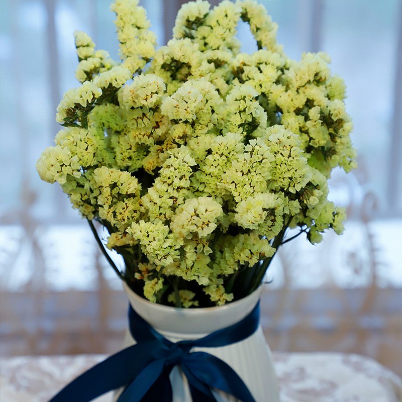 Decorative Flowers For Living Room flower Dried Forget Me Not Flower Bouquets For Decoration