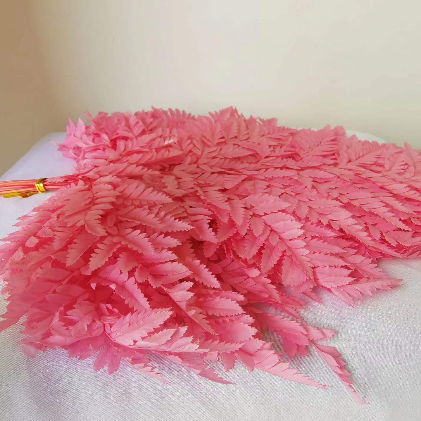 Ins hot selling decoration dried flowers good quality dried small fern for flowers decoration