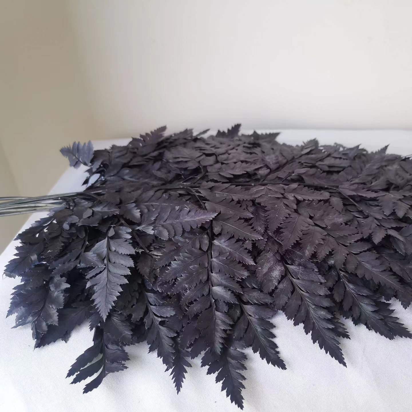 Ins hot selling decoration dried flowers good quality dried small fern for flowers decoration