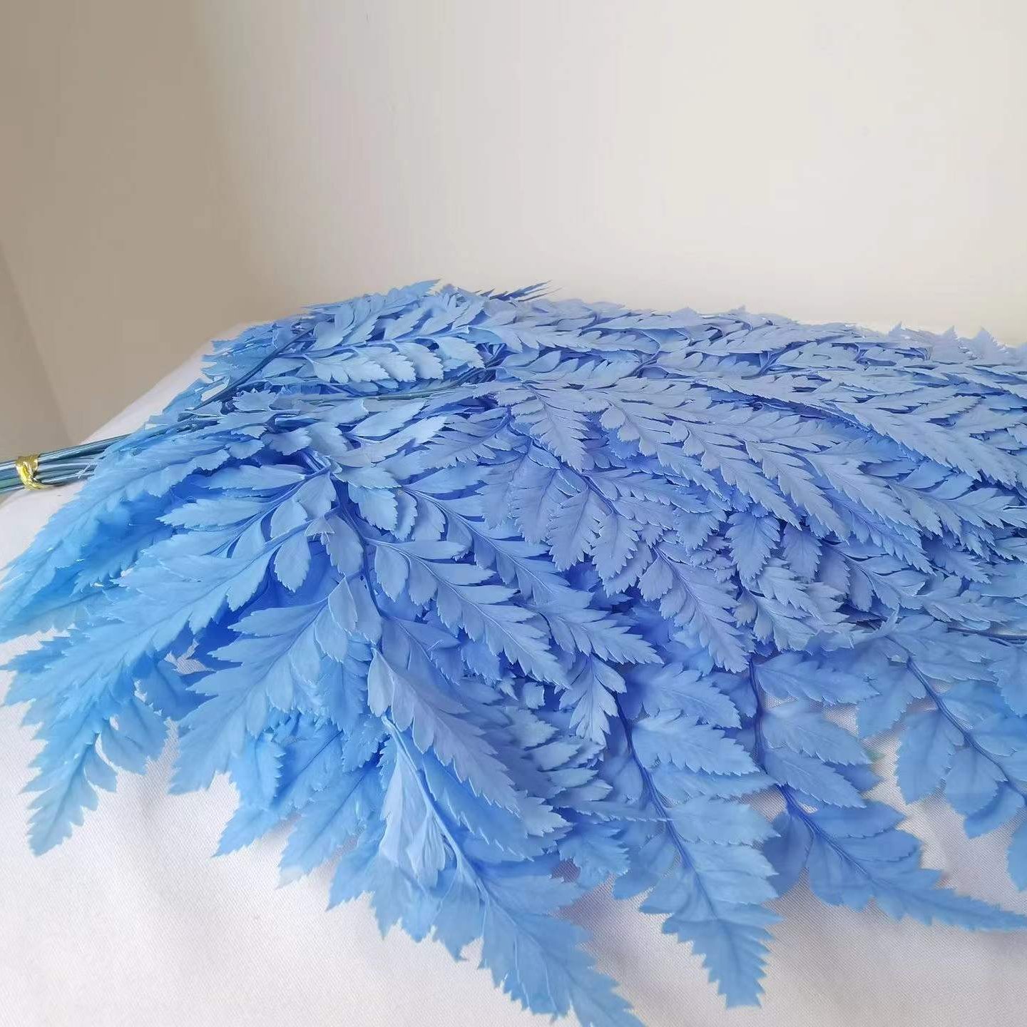 Ins hot selling decoration dried flowers good quality dried small fern for flowers decoration