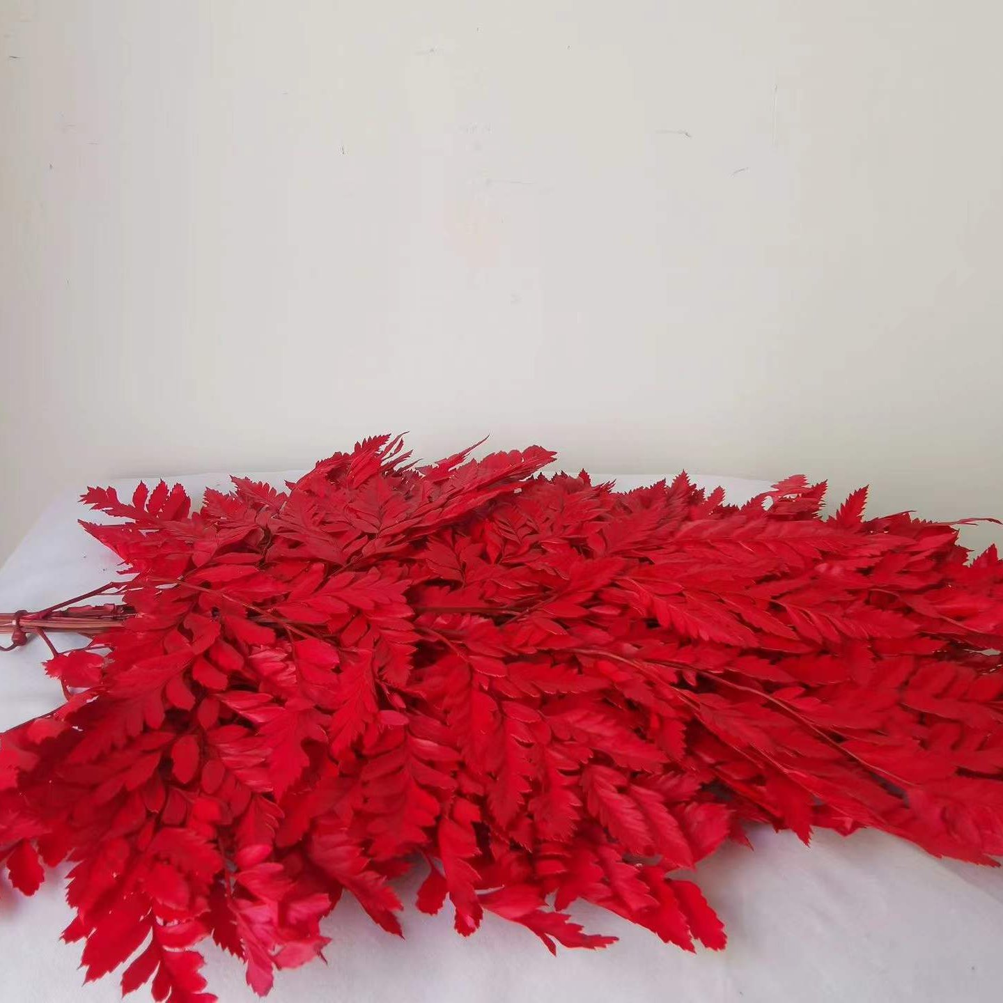 Ins hot selling decoration dried flowers good quality dried small fern for flowers decoration