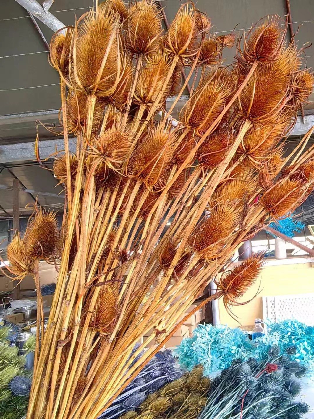 DIY dried flower natural bleached dried thistle wedding bouquet white thistle home florist decor