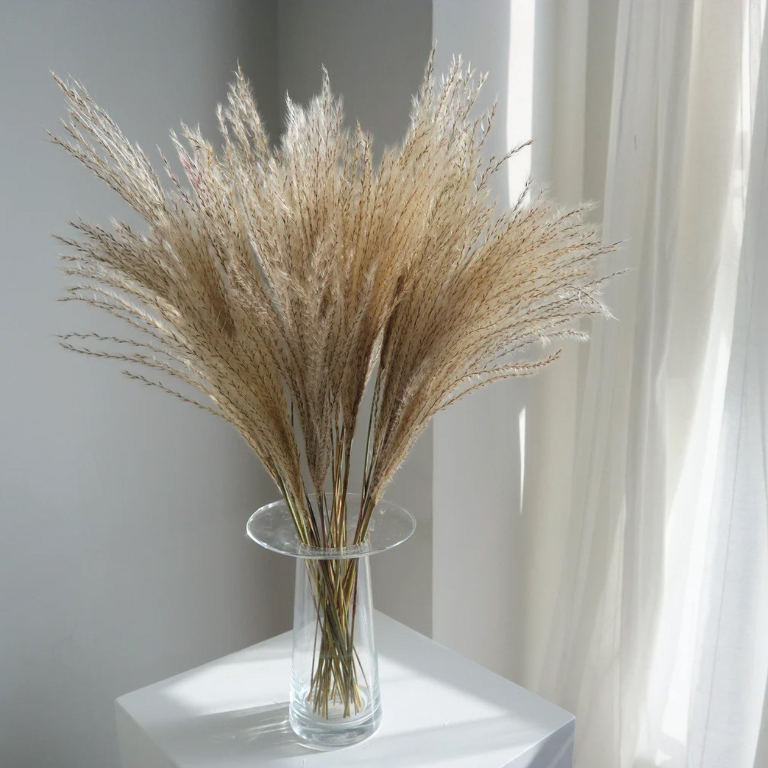 Wholesale Small Size Dried Flowers Pampas Grass Natural Pampas