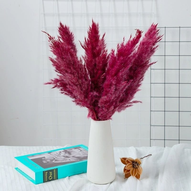 Pampas Nature Dry Flower Decoration Party Wedding HEN Decorative Pcs Color Plants Material Origin Type Preserved Wreaths Real