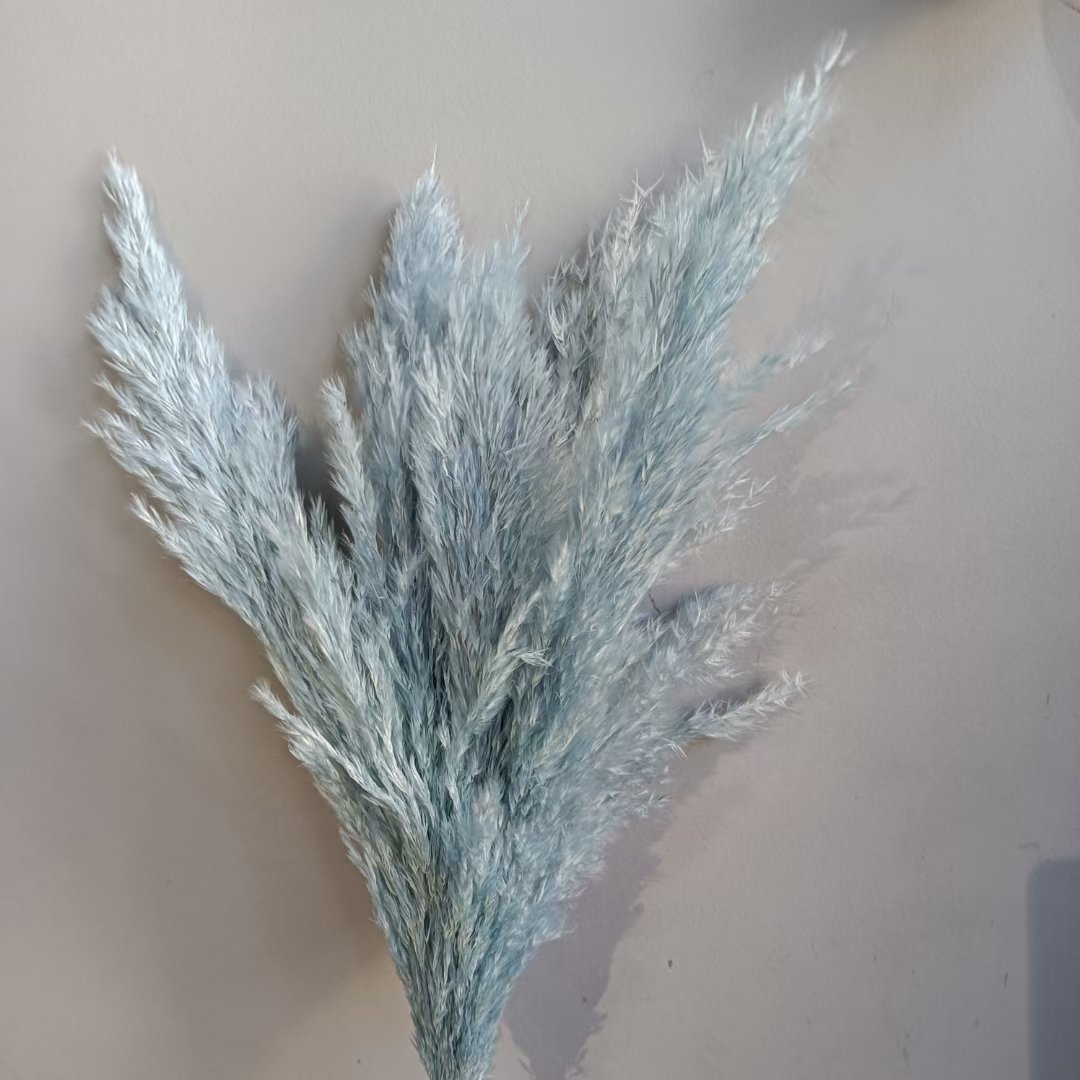 Pampas Nature Dry Flower Decoration Party Wedding HEN Decorative Pcs Color Plants Material Origin Type Preserved Wreaths Real