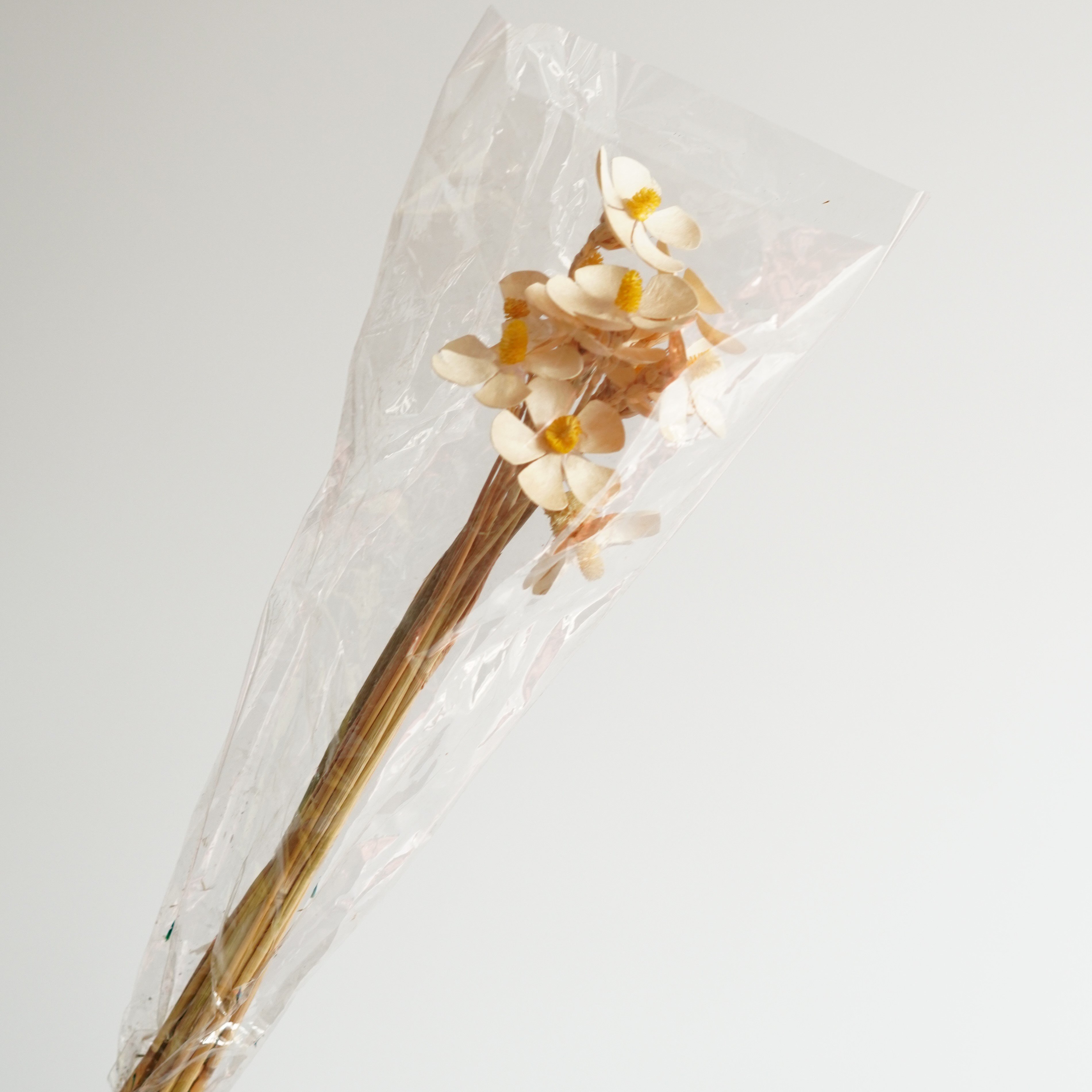 Dried violet flowers-dried flowers-Crafts and Supplies-Home decor