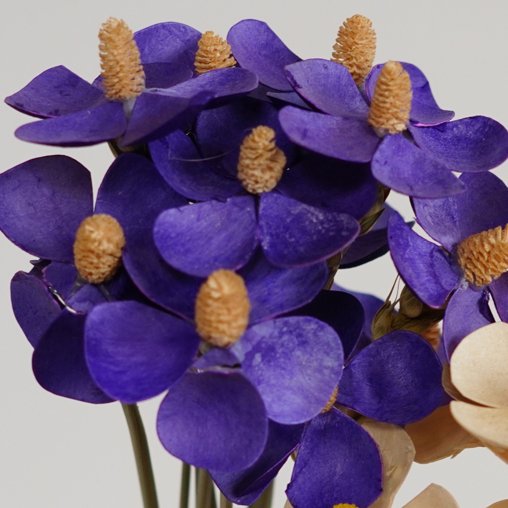 Dried violet flowers-dried flowers-Crafts and Supplies-Home decor