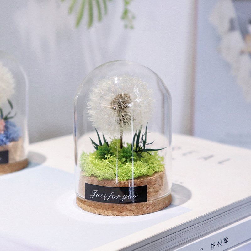 Natural Dandelion Dried Flower Dandelion Dried Flower Dry dandelion Specimen in Glass Dome for Unique Anniversary Birthday Gift