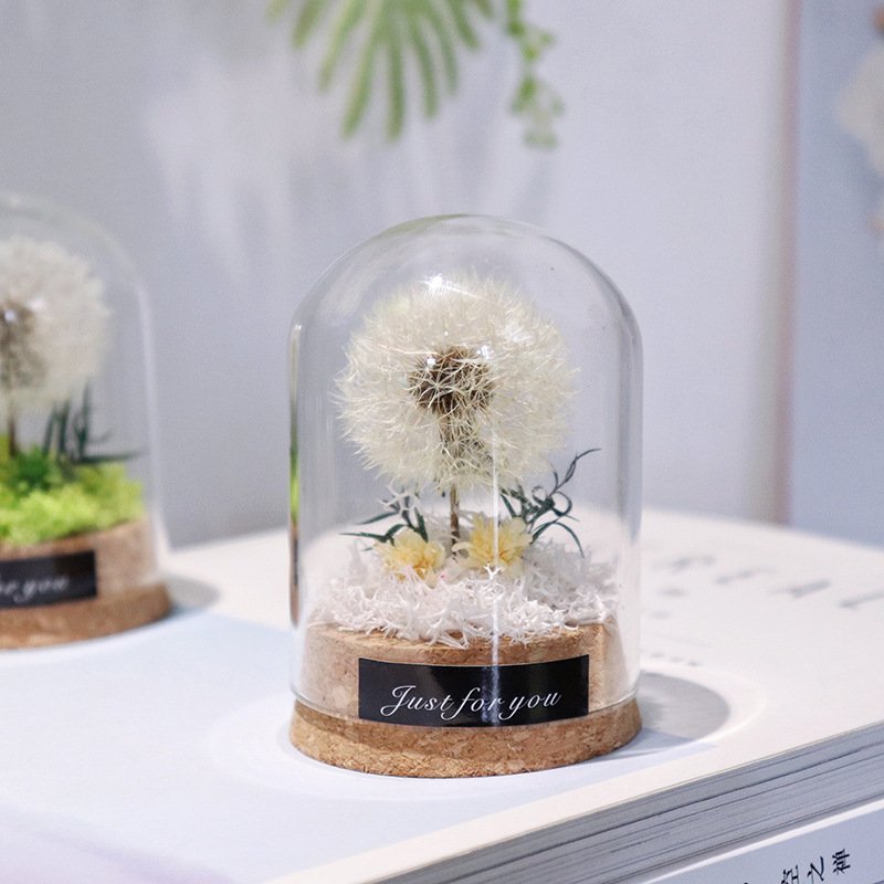 Natural Dandelion Dried Flower Dandelion Dried Flower Dry dandelion Specimen in Glass Dome for Unique Anniversary Birthday Gift