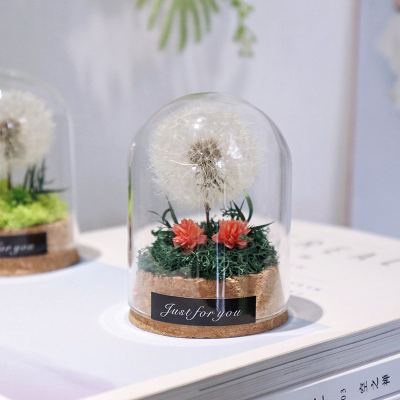 Natural Dandelion Dried Flower Dandelion Dried Flower Dry dandelion Specimen in Glass Dome for Unique Anniversary Birthday Gift