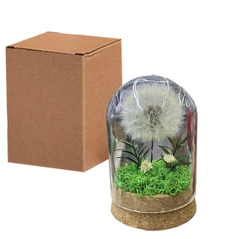 Natural Dandelion Dried Flower Dandelion Dried Flower Dry dandelion Specimen in Glass Dome for Unique Anniversary Birthday Gift