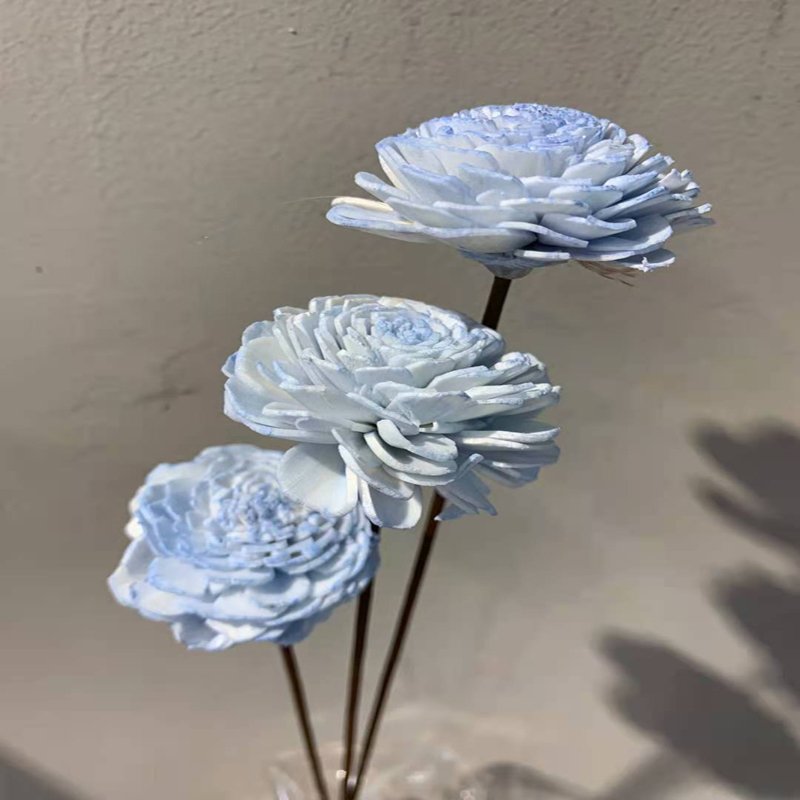 Wholesale natural dried flowers and plants sola wood flower for home decoration