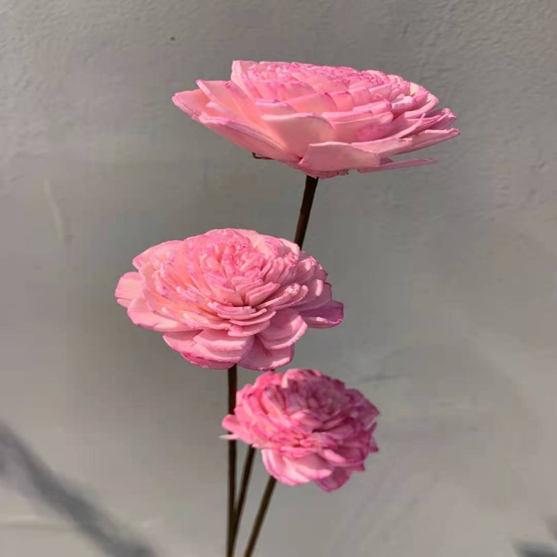 Wholesale natural dried flowers and plants sola wood flower for home decoration