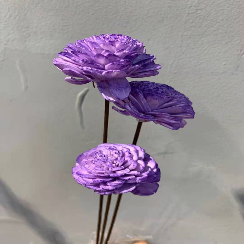 Wholesale natural dried flowers and plants sola wood flower for home decoration