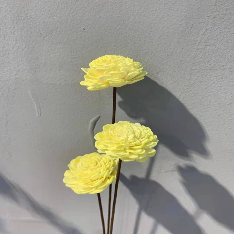 Wholesale natural dried flowers and plants sola wood flower for home decoration